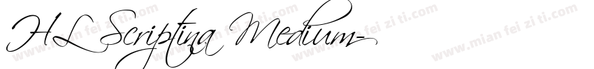 HL Scriptina Medium字体转换